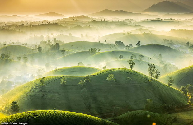 Weather Photographer of the Year 2020