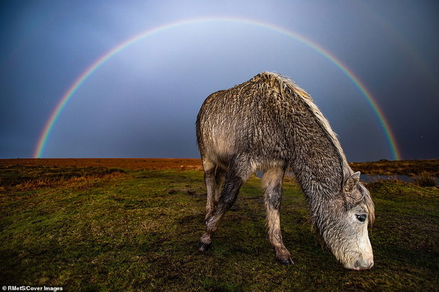 Weather Photographer of the Year 2020