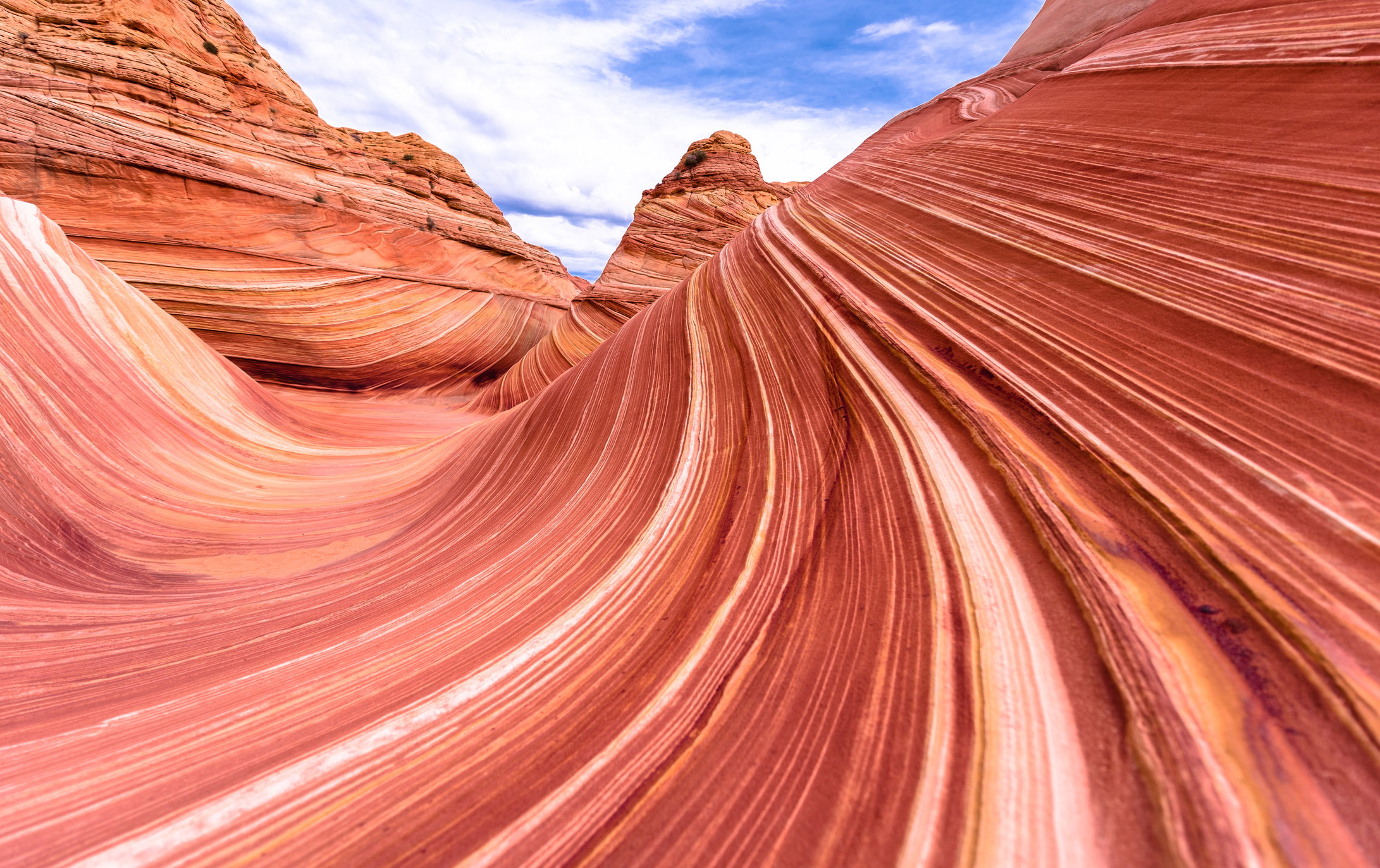 Tha Wave w Arizonie fot. Getty Images