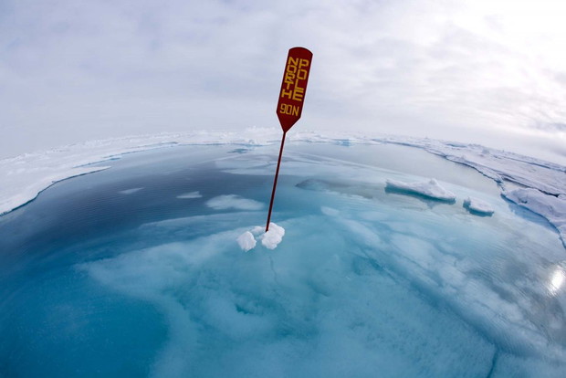 2020 Science Photographer of the Year