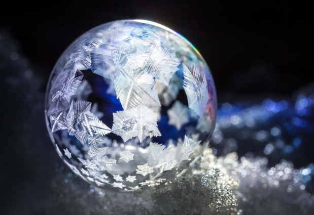 2020 Science Photographer of the Year