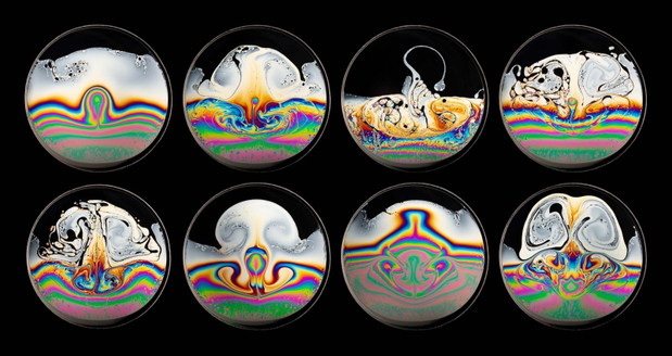 2020 Science Photographer of the Year