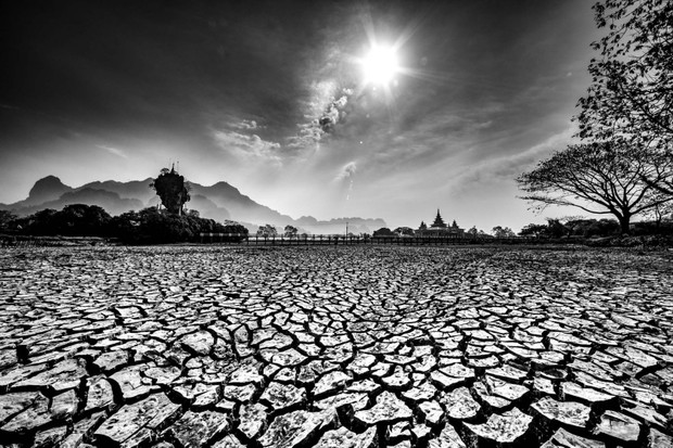 2020 Science Photographer of the Year