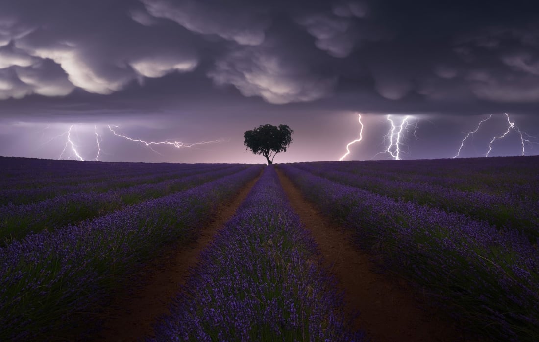 Sony World Photography Awards 2021