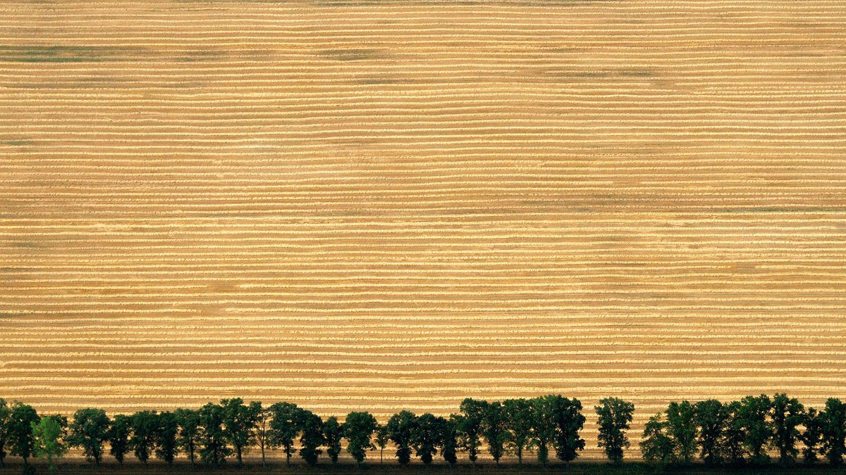 Fotograf Miesiąca National Geographic Polska