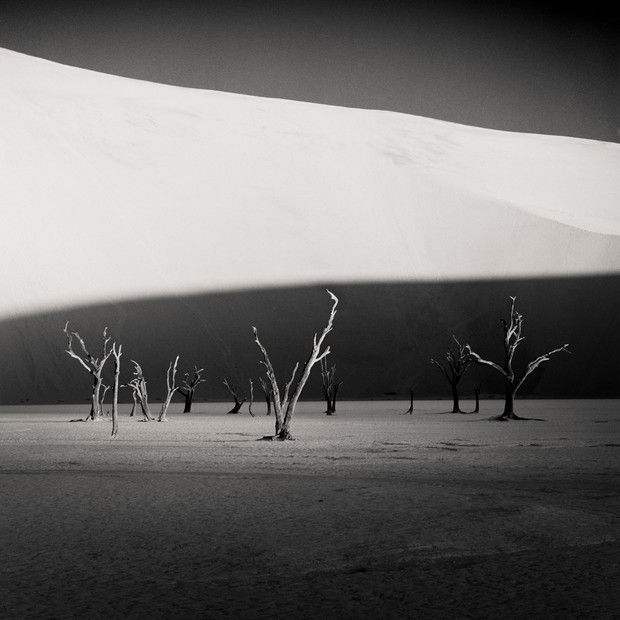 Black & White Minimalist Photography 2020
