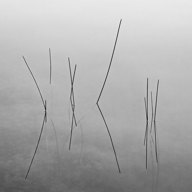 Black & White Minimalist Photography 2020