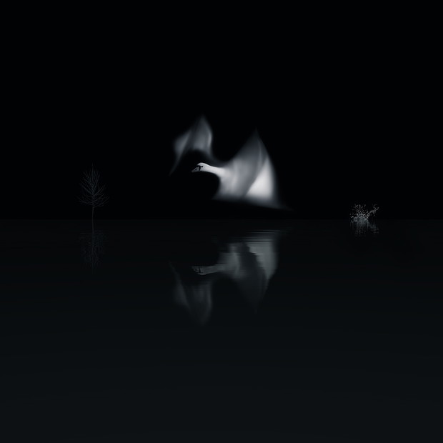 Black & White Minimalist Photography 2020