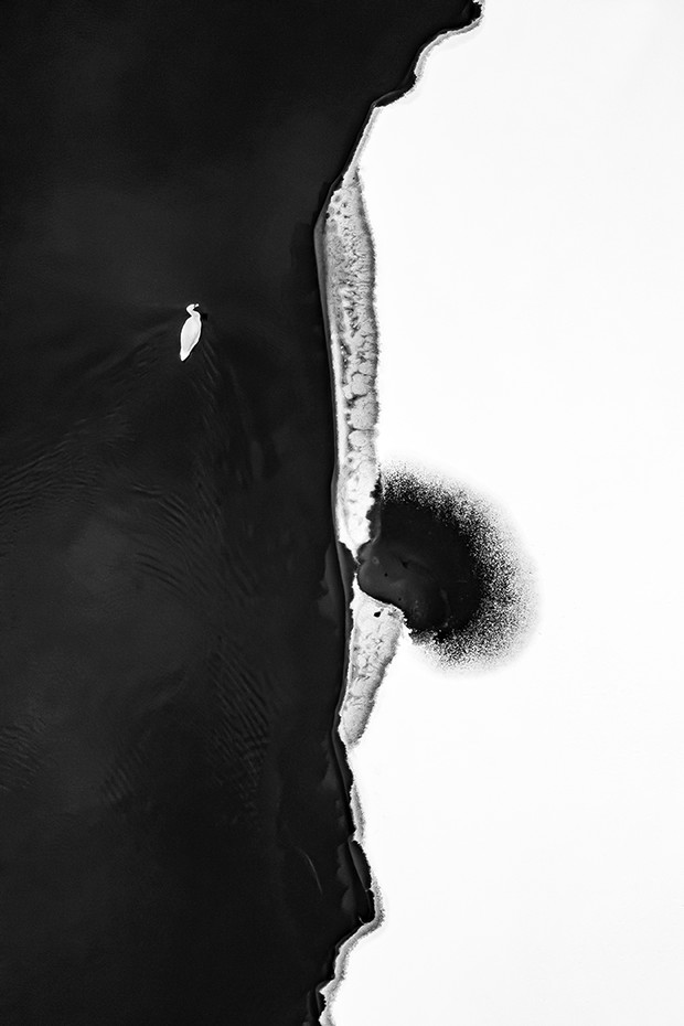 Black & White Minimalist Photography 2020