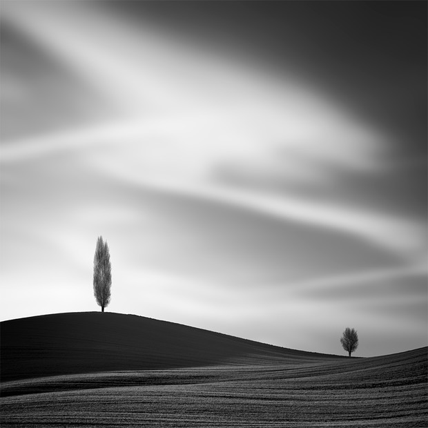 Black & White Minimalist Photography 2020