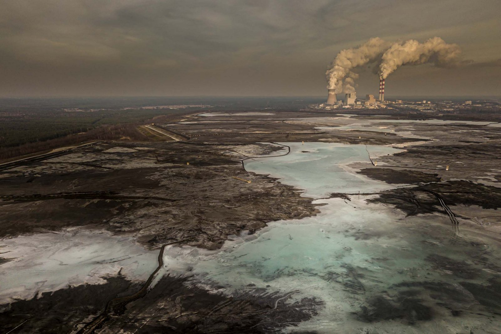 2020 Science Photographer of the Year