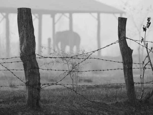 Fotograf Miesiąca National Geographic Polska