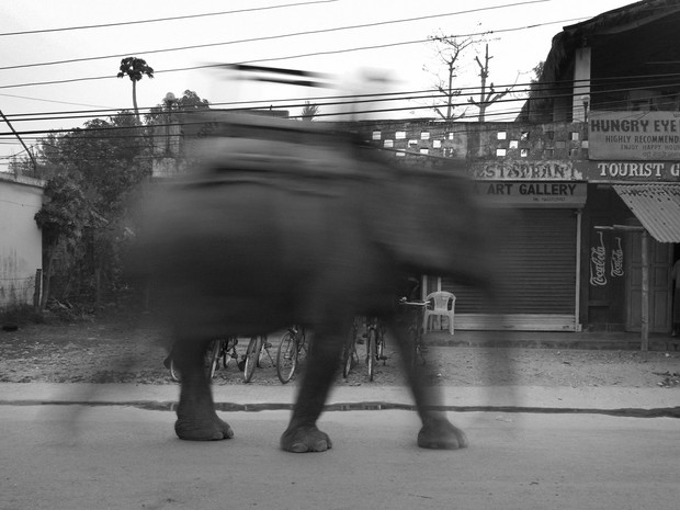 Fotograf Miesiąca National Geographic Polska