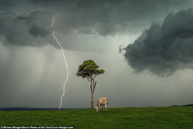 Storm Photos of the Year