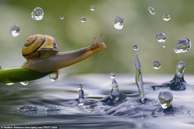 Travel Photographer of the Year 2020