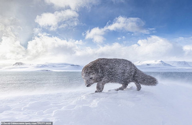 Travel Photographer of the Year 2020