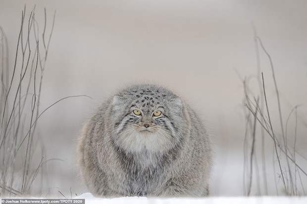 Travel Photographer of the Year 2020