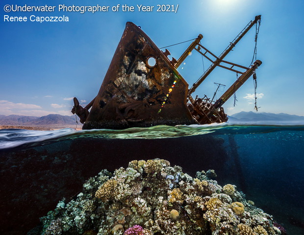 Underwater Photographer of the Year 2021