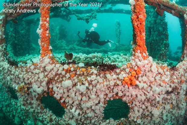 Underwater Photographer of the Year 2021