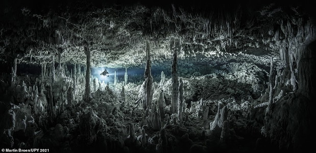Underwater Photographer of the Year 2021