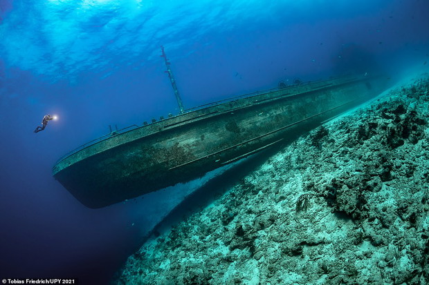 Underwater Photographer of the Year 2021