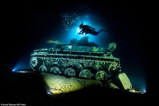 Underwater Photographer of the Year 2021