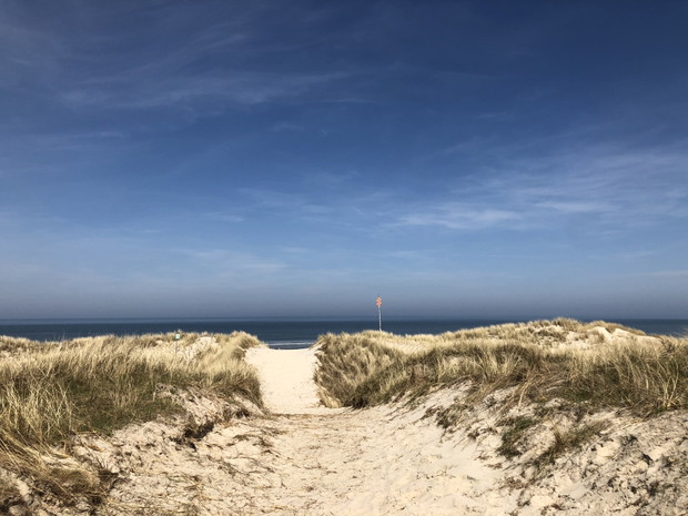 Langeoog - wydmy