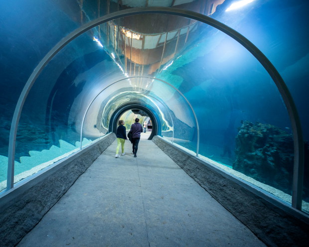 Egzotyczne gatunki, podwodny tunel i ochrona przyrody – nowe Orientarium w łódzkim zoo