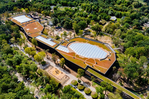 Egzotyczne gatunki, podwodny tunel i ochrona przyrody – nowe Orientarium w łódzkim zoo