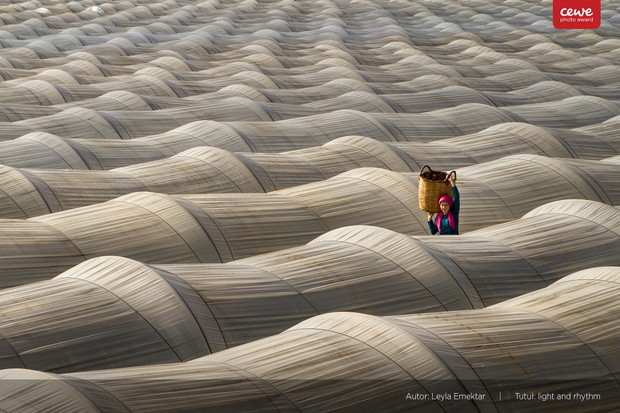 CEWE Photo Award
