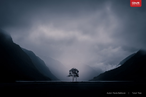 CEWE Photo Award