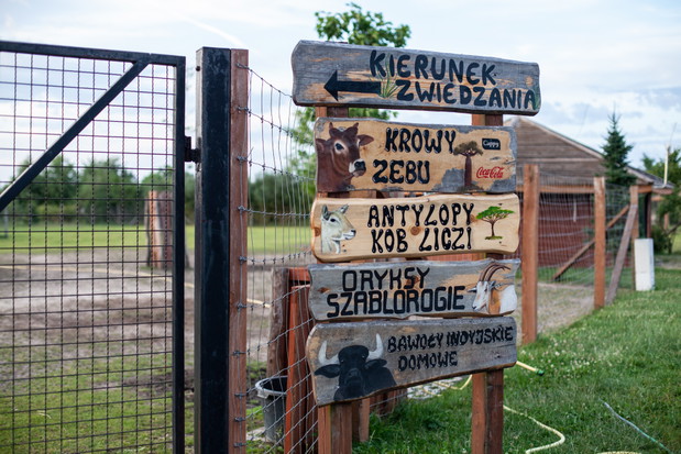 Zoo Safari Borysew