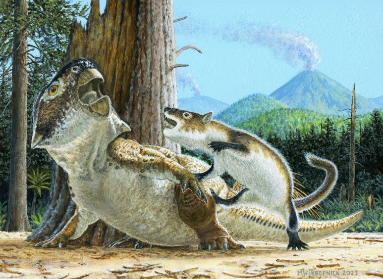 Ssak kontra dinozaur