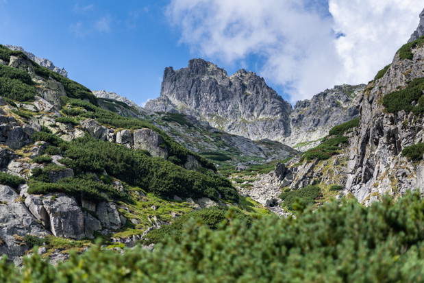 Góry