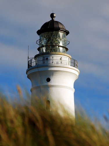 shutterstock_28171693