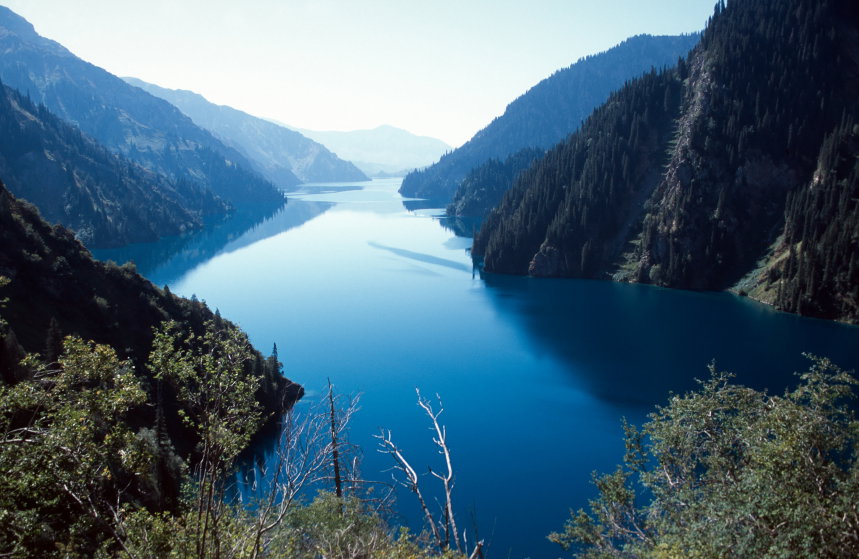 iStock_000006318692Small