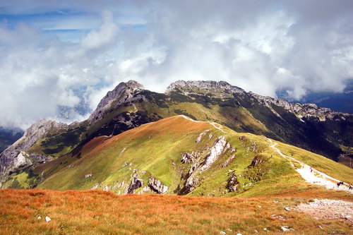 shutterstock_1752210