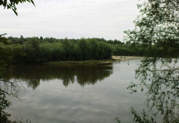 zdjecie_600_61642_starorzecze-wisly.jpg__Obrazek_JPEG__600x450_pikseli__1253264906837_kopia