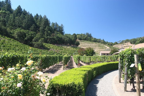 Napa