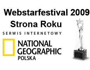 strona-roku