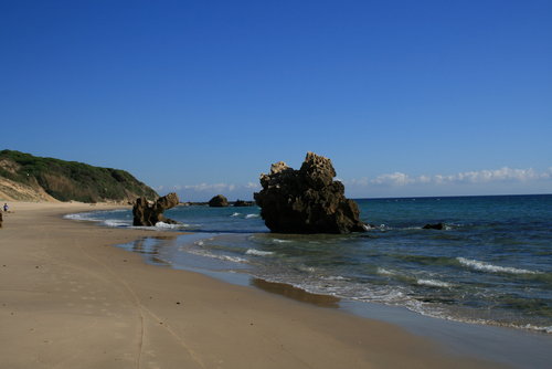 Bolonia