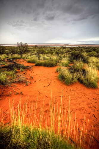 australia_aborygenska