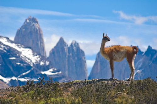 Patagonia_01
