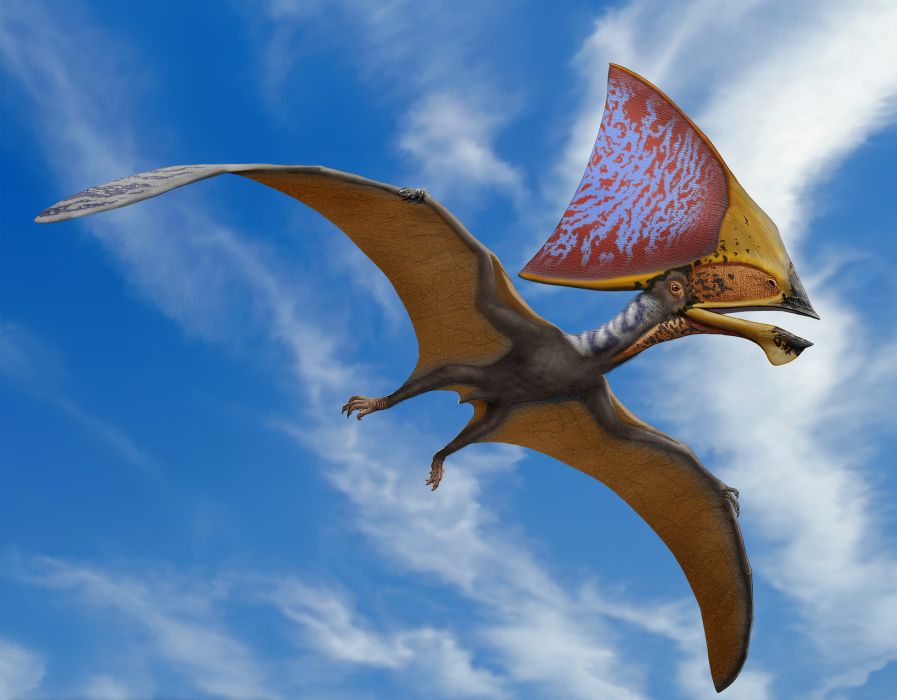 Tupandactylus imperator