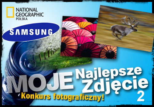 500x350_4644e26a84_02