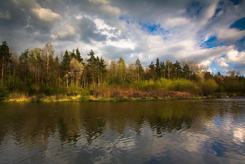 wisla1
