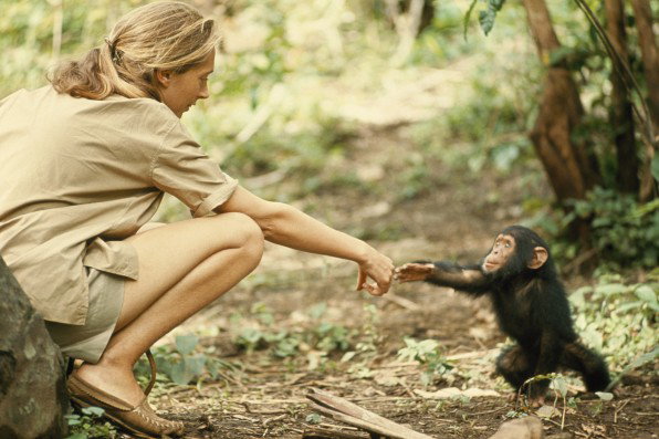 Wyjatkowe spotkanie z Jane Goodall, Jamesem Cameronem i innymi Odkrywcami