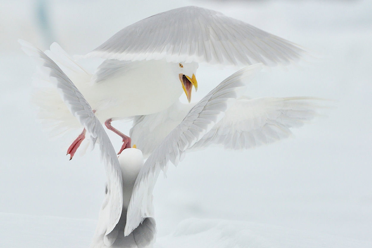 Już po raz ósmy National Geographic Polska organizuje Wielki Konkurs Fotograficzny