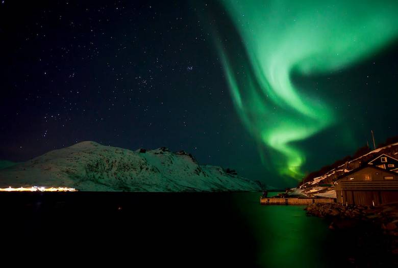 fjordy
