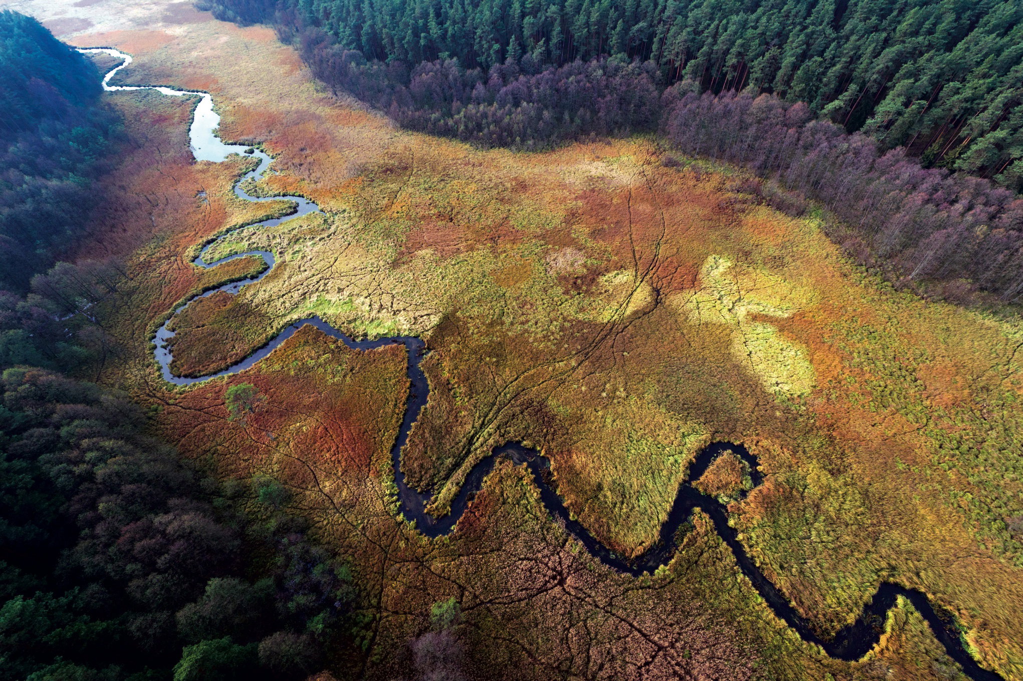 Polska_wycieczki_start_panos_000193_KJK101107636-1